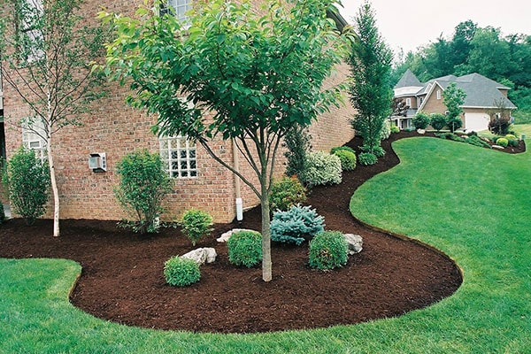 Landscape Design & Installation