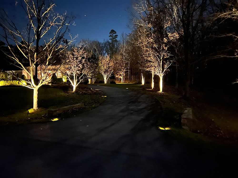 Landscape Lighting 1