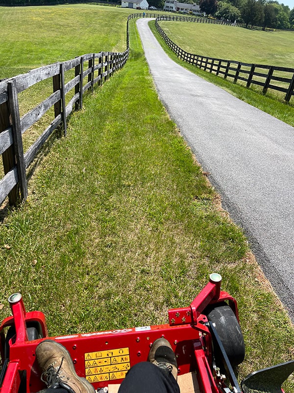 Lawn Mowing 2