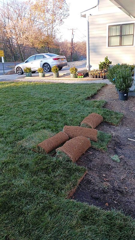 Sod Installation 1