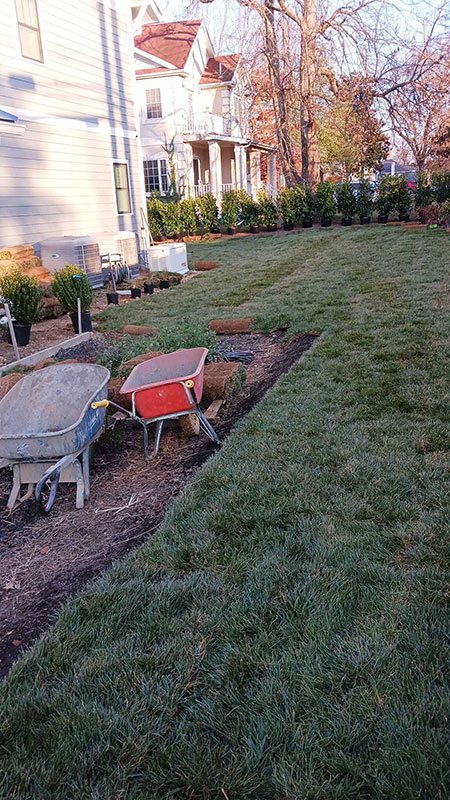 Sod Installation 2