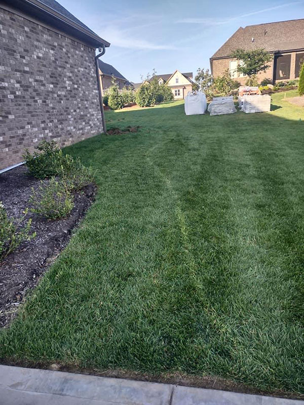 Sod Installation 3