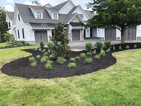 Landscape Design & Installation