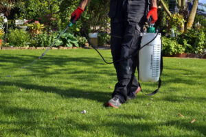 Landscaping Services in Silver Spring, Maryland