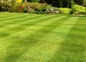 Landscaping Services in Beltsville, Maryland