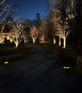 Landscape Lighting in Olney, Maryland