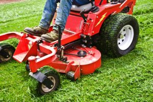 Lawn Mowing in Beltsville, Maryland