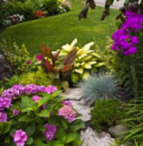 Landscape Design in Silver Spring, Maryland