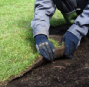 Landscape Design in Rockville, Maryland